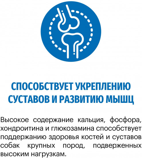 Корм для щенков с индейкой «Maxi Junior»