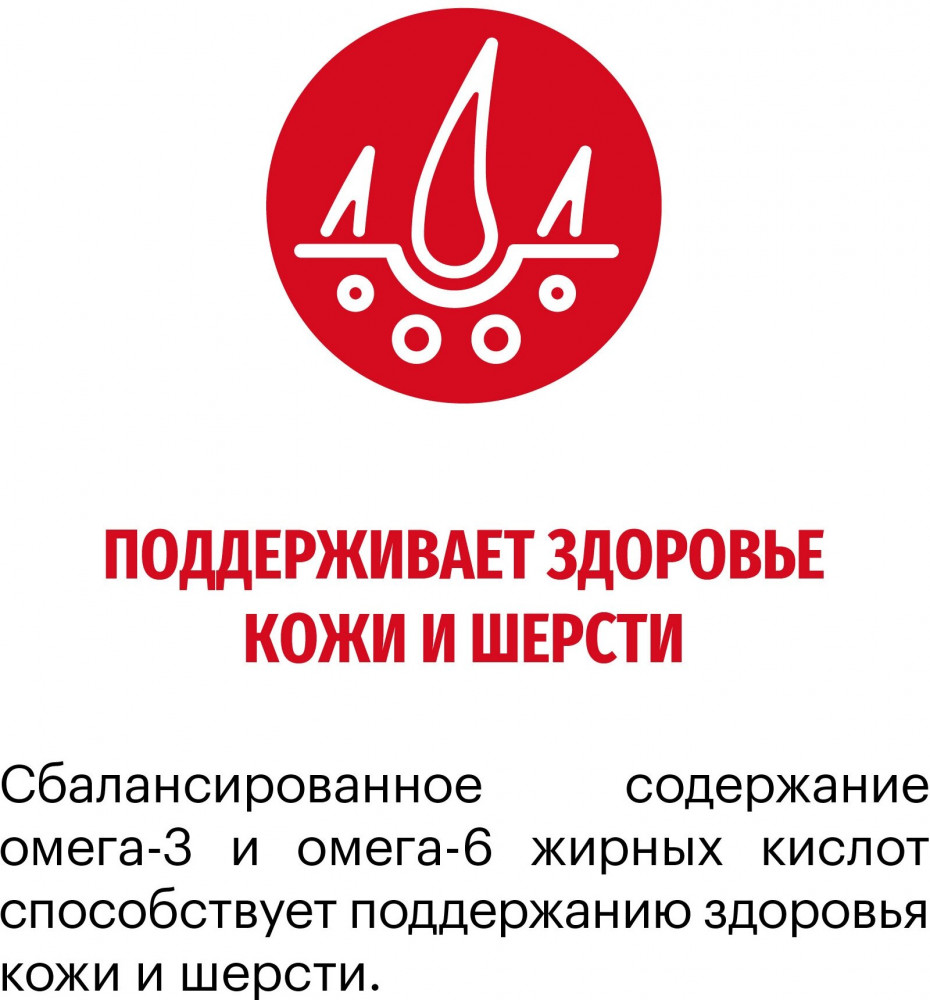Корм для собак средних пород с индейкой «Medium Adult» | Karmy | Фото 1