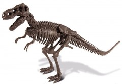 Набор юного археолога «Тираннозавр» - Фото 2