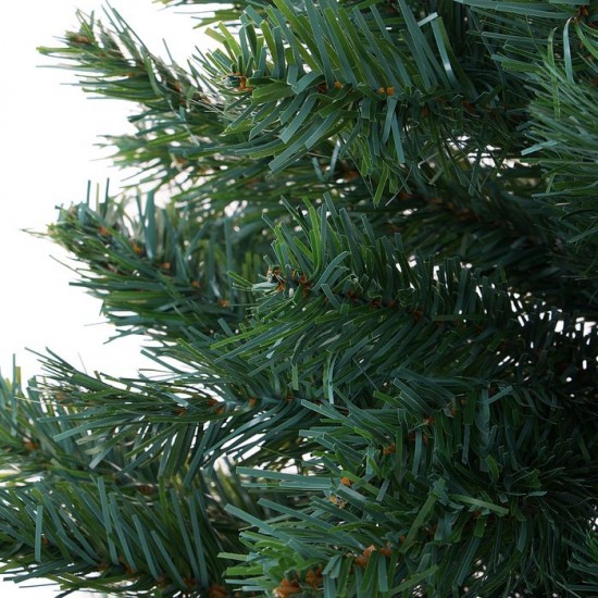 Ель голубая