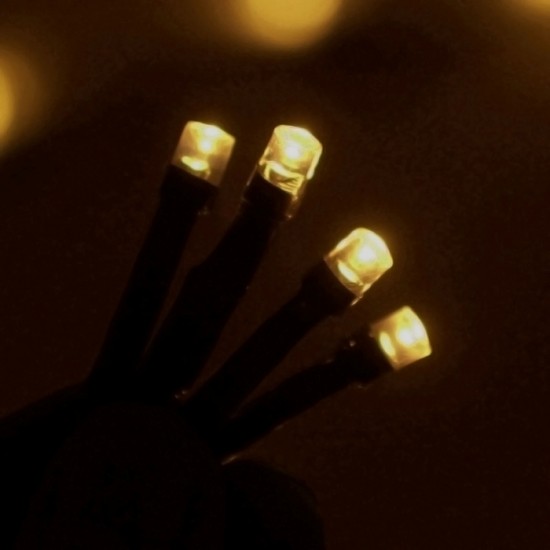 Гирлянда «Метраж», 10 м, LED-100-220V