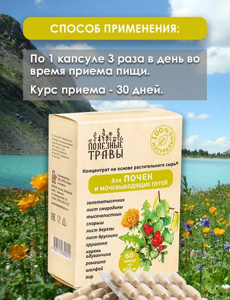 Фитокомплекс для почек и мочевыводящих путей — Полезные травы — Пчела и ...