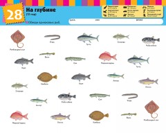 Найди пару. Уровень 1 - Фото 3