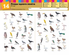 Найди пару. Уровень 2 - Фото 3