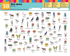 Найди пару. Уровень 2 - Фото 1