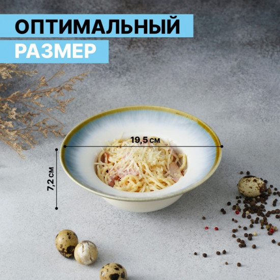 Тарелка «Пэвэти»