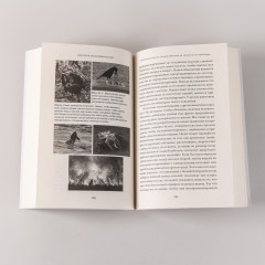 Искатели закономерностей. Как аутизм способствует человеческой изобретательности - Фото 7