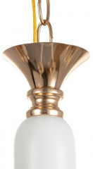 Люстра «Лиолет» - Фото 9