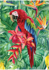 Пазл «Яркий попугай» - Фото 2