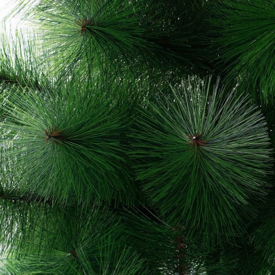 Кедр зелёный, 120 см