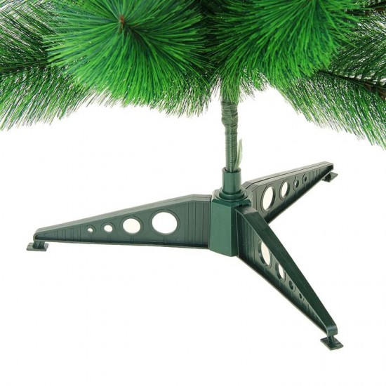 Кедр зелёный, 60 см