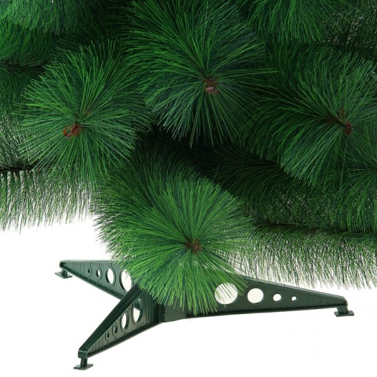 Кедр зелёный, 90 см