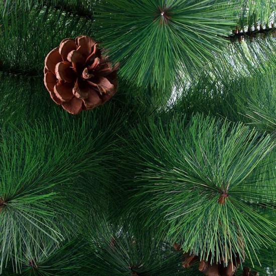 Кедр зелёный с шишками, 150 см