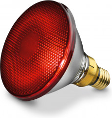 Лампа инфракрасная Beurer IL 21 - Фото 2
