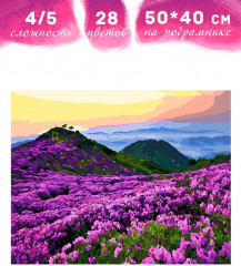 Картина по номерам «Бескрайние просторы» - Фото 1