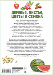 Деревья, листья, цветы и семена - Фото 1