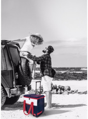 Сумка-холодильник на колесах - Фото 7