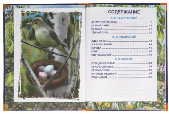 Рассказы о природе