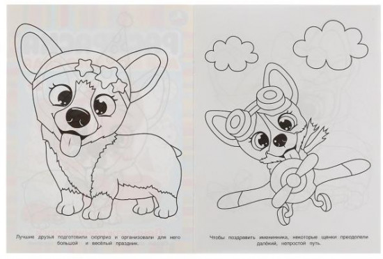 День рождения корги