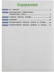 Полный курс обучения письму. 3 месяца до школы - Фото 1