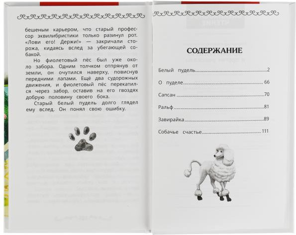 Белый пудель и другие рассказы | Внеклассное чтение | УМка | Фото 1