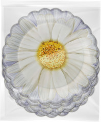 Набор тарелок бумажных «Ромашка» - Фото 1