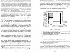 Призрак Оперы. Тайна Желтой комнаты - Фото 2