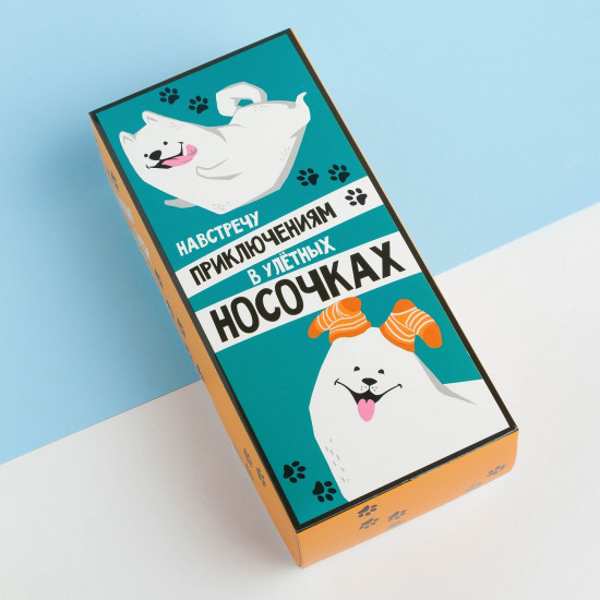Комплект носков детских «В улетных носочках»