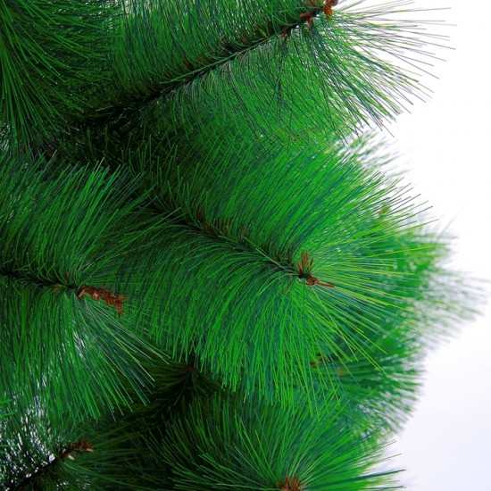 Кедр зелёный, 180 см