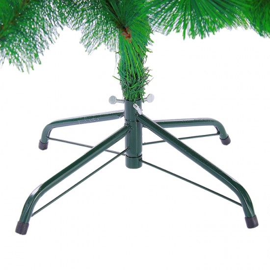 Кедр зелёный, 180 см