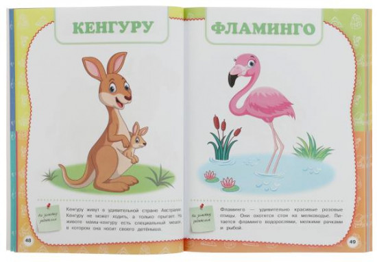 Полный годовой курс занятий. 1-2 года