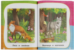 Полный годовой курс занятий. 2-3 года - Фото 2