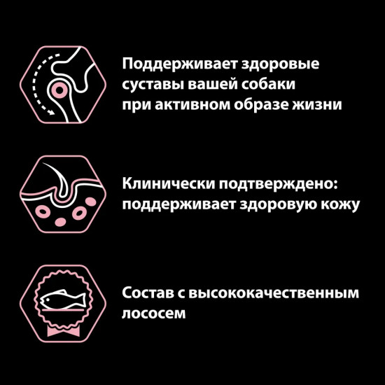 Корм для собак с лососем