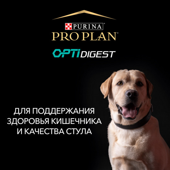 Корм для собак с ягненком
