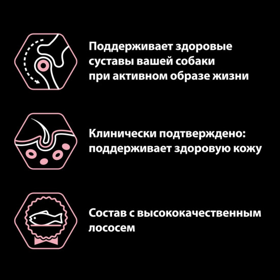 Корм для собак с лососем