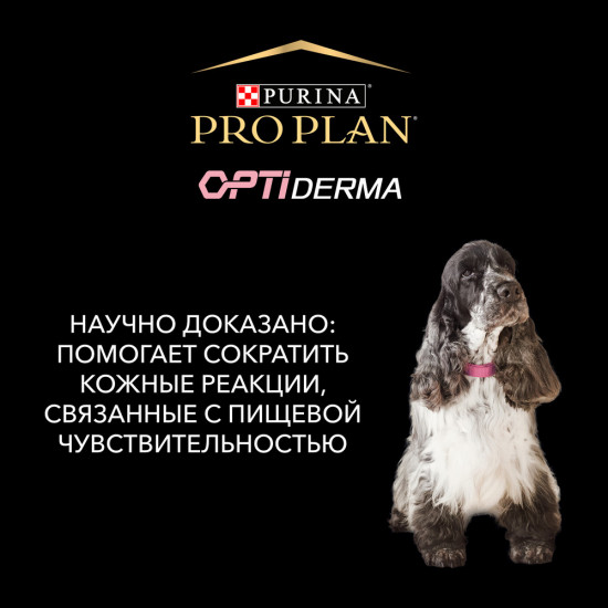 Корм для собак с лососем