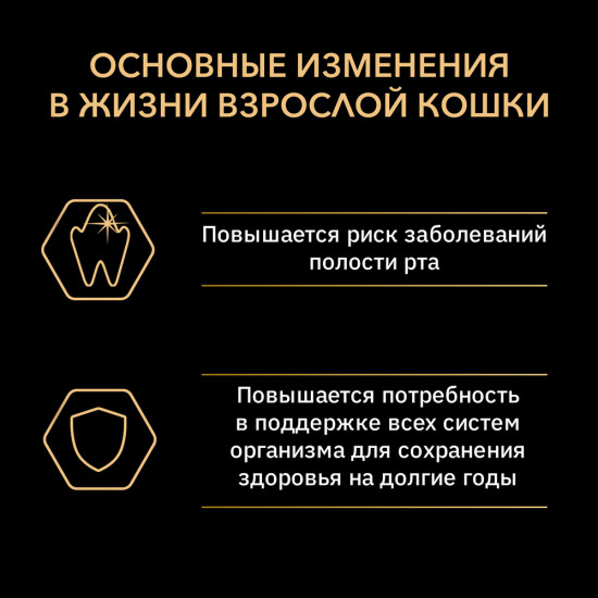 Корм для взрослых кошек с лососем
