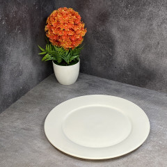 Тарелка - Фото 2