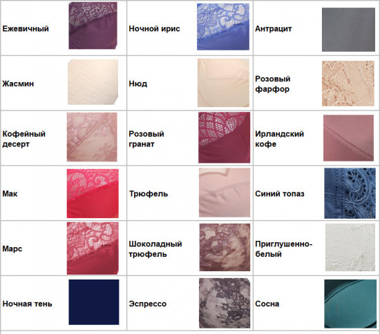 Бюстгальтер