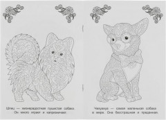 Корги и его друзья. Раскраска - Фото 3