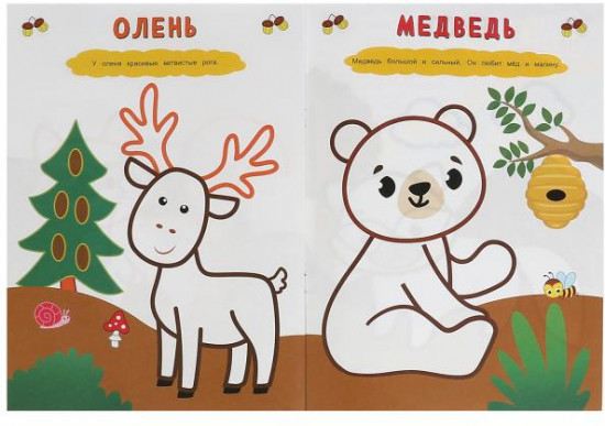 Лесные животные. Рисуем пальчиками