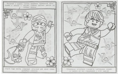 Путь ниндзя. Раскраска с лабиринтом - Фото 2