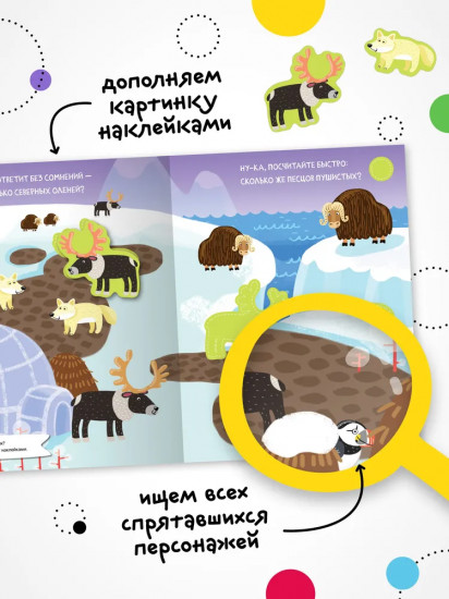 Найди, посчитай, наклей. На севере