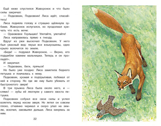 Тайна ночного леса