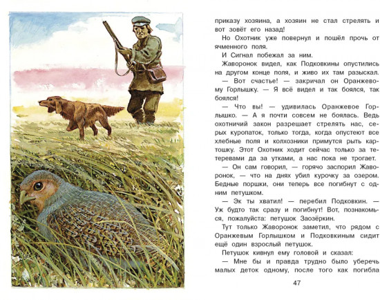 Тайна ночного леса