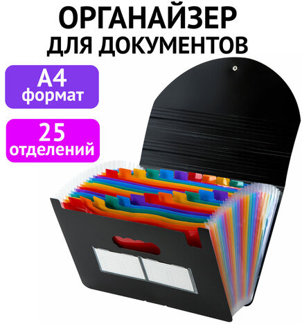 Папка-органайзер для бумаг и документов