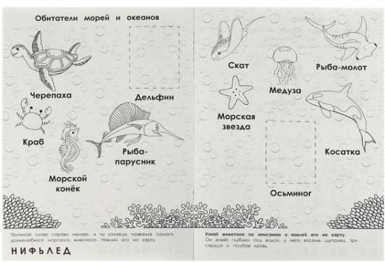 Раскраска с наклейками «Атлас мира»