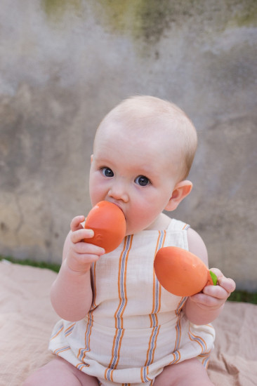 Прорезыватель «Palm Peach»
