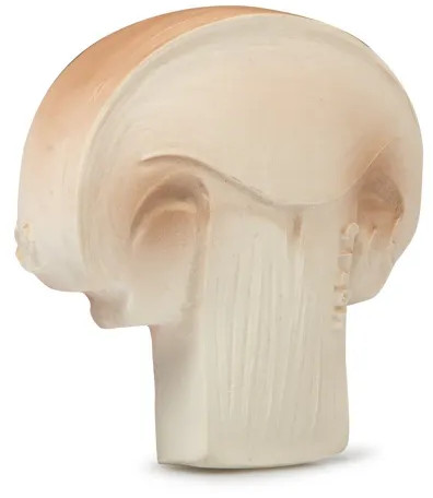 Прорезыватель «Manolo the mushroom»