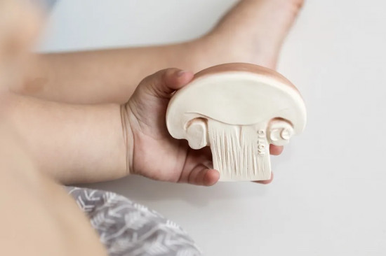 Прорезыватель «Manolo the mushroom»